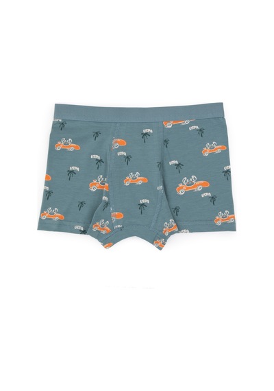 U.S. Polo Assn. Erkek Çocuk 3'lü Boxer Takım 50319395-VR051