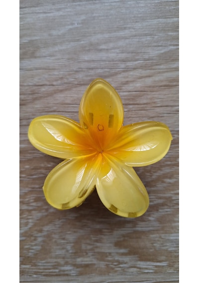 Bayan Renkli Lotus Dişli Toka Sarı