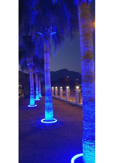 Palmiye Çember Aydınlatma Ip67 50cm