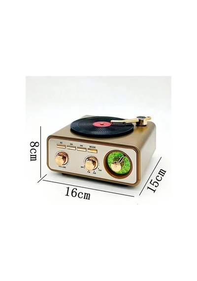 Magicool Metalik Nostaljik Tasarım Plak Çalar Görünümlü Radyolu Bluetooth Hoparlör Retro Müzik Plak