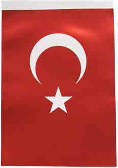 Inter B-005 Türk Bayrağı 60x90 Cm Diğer