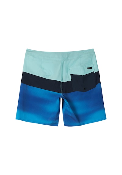 Quıksılver Quiksilver Surfsilk Panel 18 Erkek Boardshort Bet9 Çok Renkli