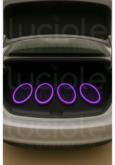 2 Li 6x9" Oval Rgb Neon Hoparlör Kapağı Rf Kumandalı Renk Efektli Aydınlatma Seti 12v Modifiye