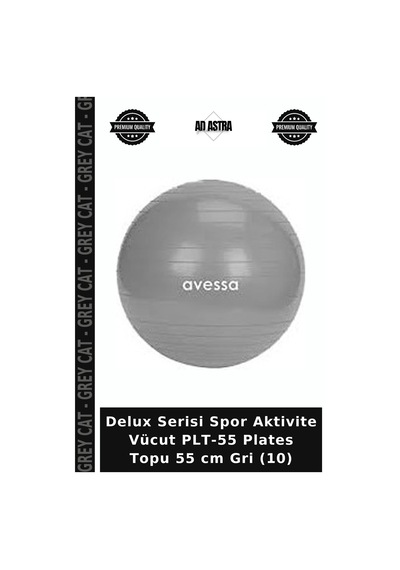 Delux Serisi Spor Aktivite Vücut Plt-55 Plates Topu 55 Cm Gri 10