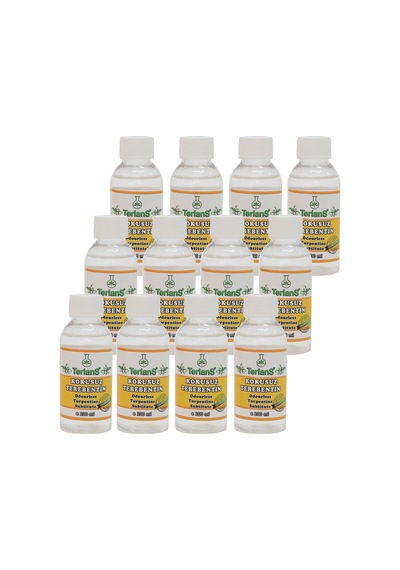 Terlans Kokusuz Terebentin 12 X 100 Ml Paket