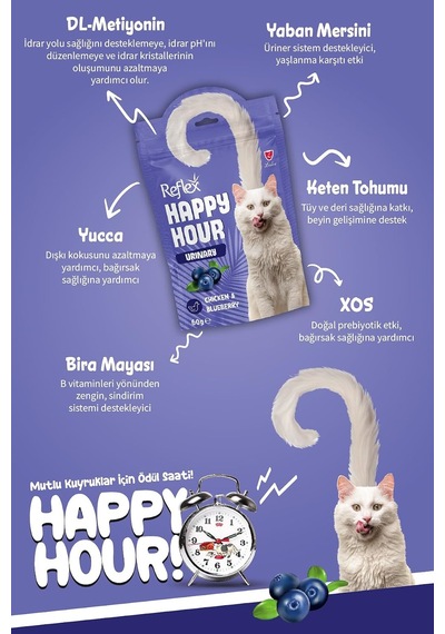 Happy Hour Üriner Sistem Tamamlayıcı Kedi Ödül Mamasi 60 Gr Tekli Paket