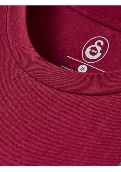 Gsstore Galatasaray Erkek T-shirt E261085 Bordo