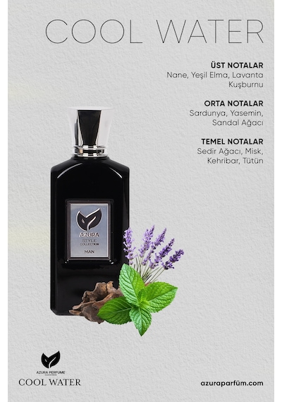 Azura E13 Style Erkek Parfüm EDP 60 ML