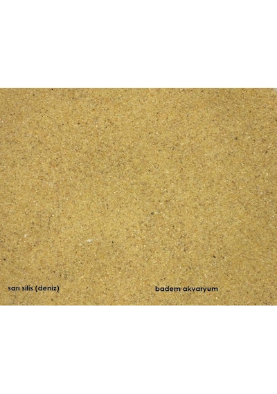 Akvaryum Sarı Silis Kum 0.1 Mm 1 Kg Deniz Kum İnce