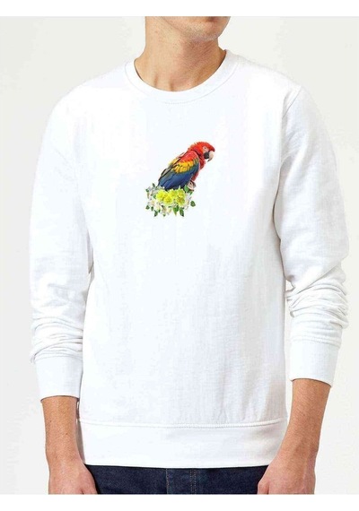 Kiss Parrot Bird Budgerigar Scarlet Macaw Baskılı Erkek Sweat