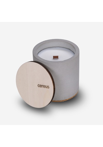 Çam Kokulu Doğal Soya Mum – Cereus Inytium Serisi El Yapımı Beton Kavanoz Mum 210 gr