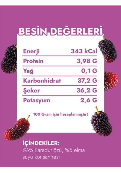 Fethiyeden Gelsin Doğal Karadut Özü- Katkısız Ve Organik-700g - Saf Ve Yoğun Lezzet