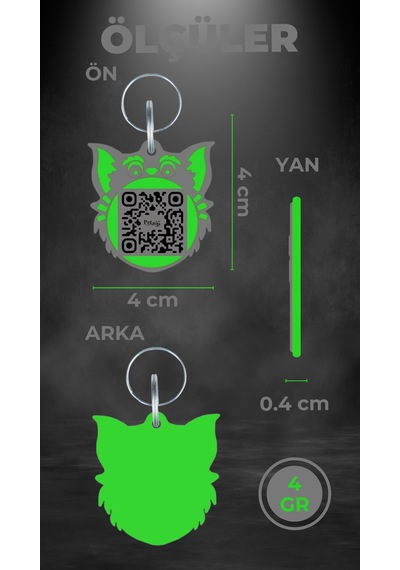 Petjoo 2.Nyan Cat Yeşil-Gri Qr'lı Kedi Künyesi