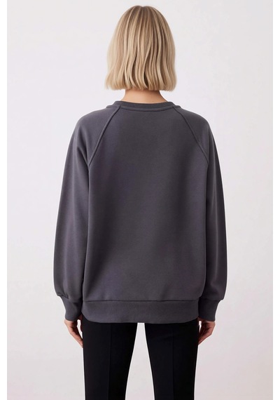 Benerly Kadın Bisiklet Yaka Reglan Kol Relaxed Kalıp Örme Sweatshirt Fonk Antrasit