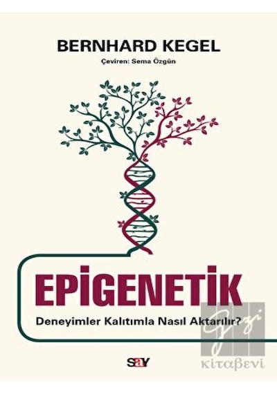 Epigenetik  - Deneyimler Kalıtımla Nasıl Aktarılır?  - Bernhard Kegel  - Say Yayınları