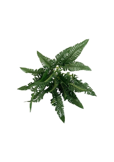 Yapay Çiçek Cycas Aşk Merdiveni Eğrelti Otu Sıkas Bitkisi 7 Dal