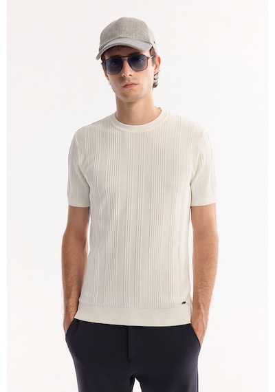 Avva Erkek Ekru Bisiklet Yaka Çizgili Triko Regular Fit T-shirt A52y5005