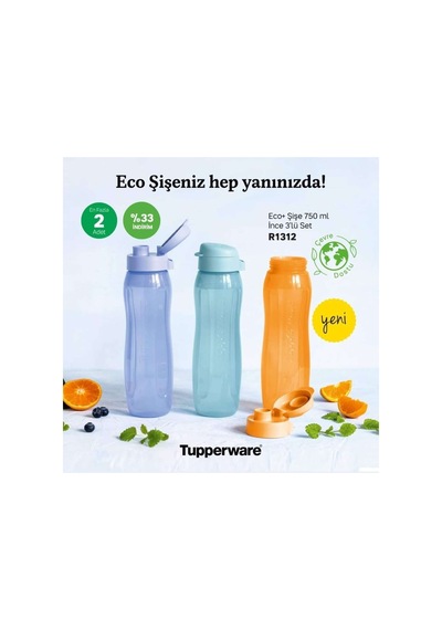 750 Ml 3 Adet Suluk Çok Renkli