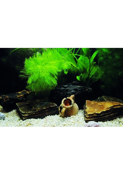 Kanki Pet Kp7045033 Akvaryum Arka Fon Yapıştırma 70 X 45 Cm