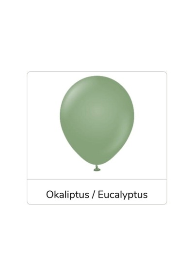 12 Inç Standart Boy Retro Balon 20 Adet Okaliptus A