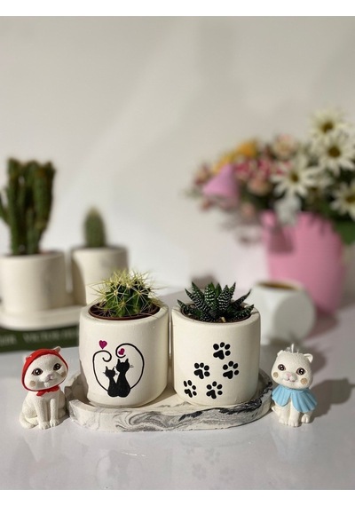 Tabaklı Pati Ve Çift Kedi Desenli El Çizimi Saksı Seti Hediyelik Kalemlik