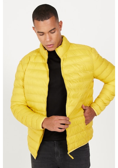AC&Co / Altınyıldız Classics  Erkek Sarı Standart Fit Normal Kesim Dik Yaka Mont Sarı