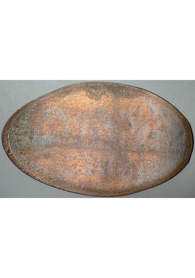 Amerika Doğal Tarih Müzesi Hatıra Pressed Coin.