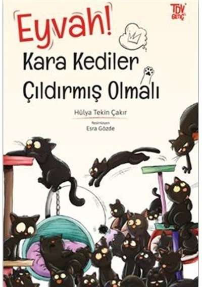 Eyvah Kara Kediler Çıldırmış Olmalı / Hülya Tekin Çakır