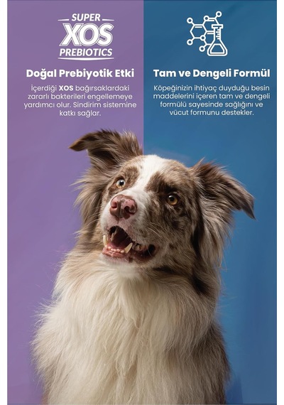 Ayrex Plus Kuzulu Pirinçli Medium Yetişkin Köpek Maması 18 Kg