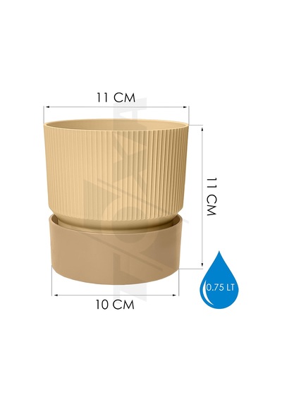 Ixora Saksı 4, Karışık, 0.75 Litre
