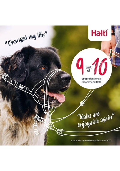 Company Of Animals Baş Tasması - Dolgulu Burun Bandı, Ayarlanabilir Ve Yansıtıcı, Küçük Köpekler İçin Profesyonel Çekme Önleyici Eğitim Yardımcısı Boyut 1, Kırmızı