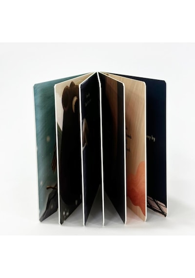 Sincap Kitap Senses - Baby University First Concepts Stories 2