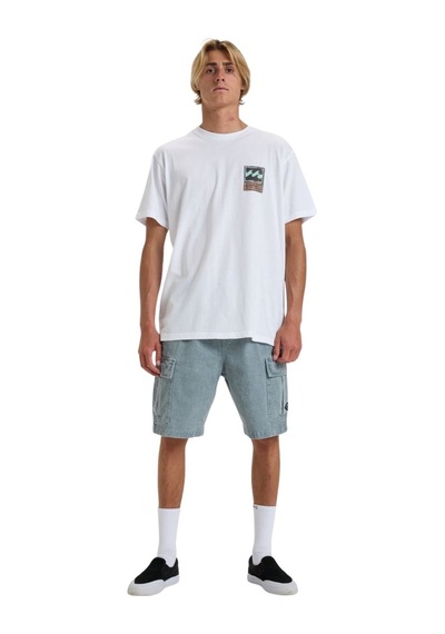 Bıllabong Billabong Stamp Ss Erkek Beyaz Tişört Wht Beyaz