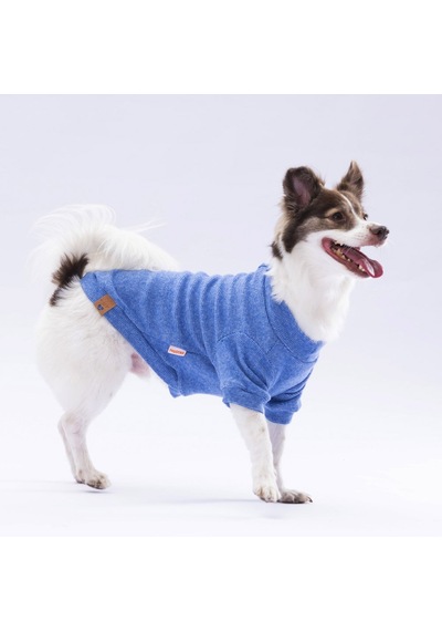 Pawstar Mavi Merino Sweat Küçük ve Orta Irk