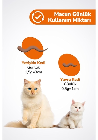 Kedi Multivitamin Malt Macunu - Taurinli Biyotin Kedi Maltı Tüy Yumak Önleyici - 100 Gr