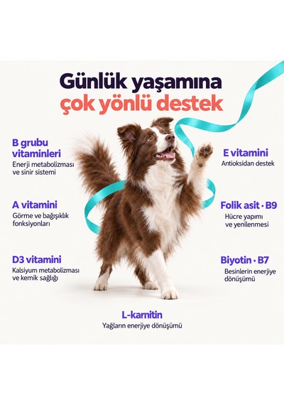 Daily Vitamix - Köpek Multi Vitamin Takviyesi, Bağışıklık Desteği, 21 Vitamin Ve Mineral, Günlük Kullanım, Toz Form, 150 Gram