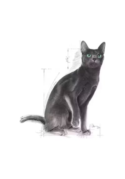 Sterilised37 Kısırlaştırılmış Kediler Için Kuru Kedi Maması 400g 2x Adet