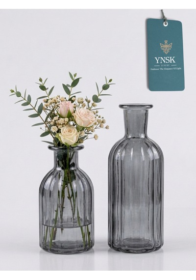 2 Li Cam Vazo Seti Minimalist Dekoratif Modern Nordic Çiçeklik Masa Üstü Vazo Füme