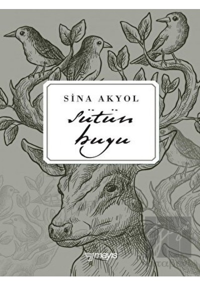 Mayıs Yayınları - Sütün Huyu
