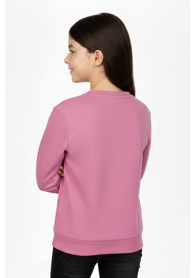 Kız Çocuk Taşlı Sweatshirt Bgl-st05268 Pembe