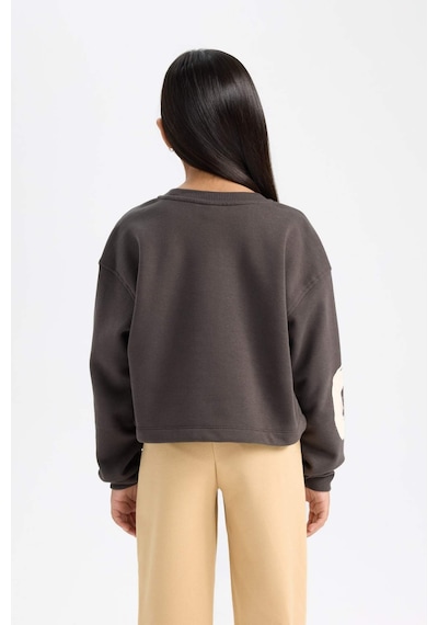 Defacto Kız Çocuk Bisiklet Yaka Baskılı Kalın Sweatshirt D2882a824wnar227 Antrasit
