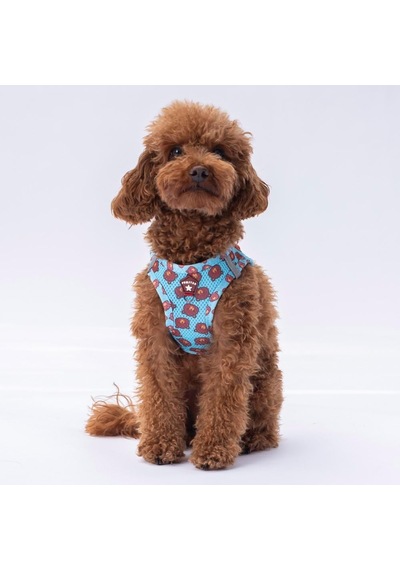 Pawstar Air-mesh Bears Köpek Göğüs Tasması Xs Genel