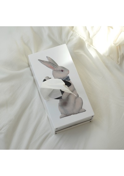 Spextrum Tissue Up Tale Wonder Rabbit Peçetelik Beyaz