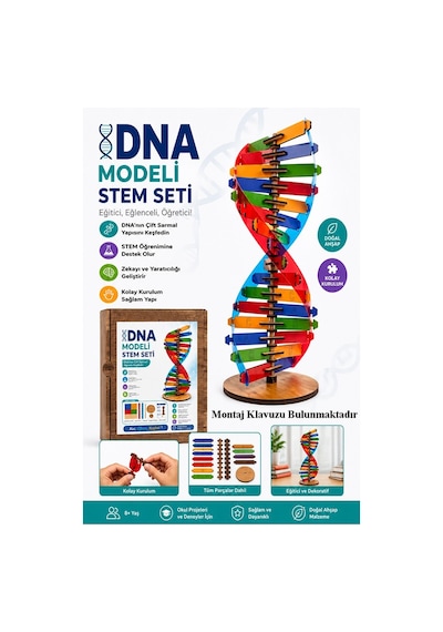 Dna Modeli 1 Paket Ahşap Dna Yapım Seti Dna Sarmalı Deney Yapım Seti Okul Materyali Fen Bilimleri