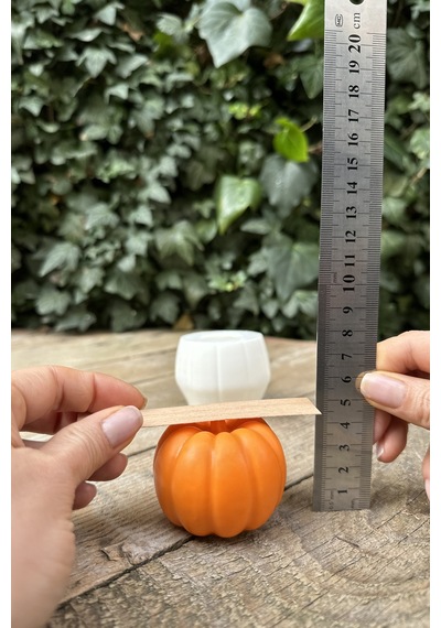 Rufus Concept Pumpkin Orta Boy Mum Kalıbı (Silikon)