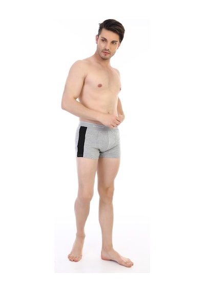 Çift Kaplan Erkek Elastanlı Biyeli Gri Boxer 850