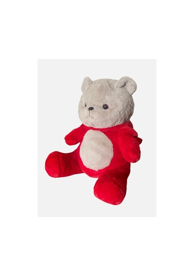 Oyun Ve Uyku Arkadaşım Kapşonlu Sevimli Ayıcık 40 Cm Çok Renkli