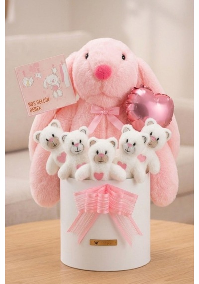 Yenidoğan Kız Bebek Hediyesi Baby Shower Tavşan Uyku Arkadaşı Ve Pembe Peluş Ayıcık Buketi