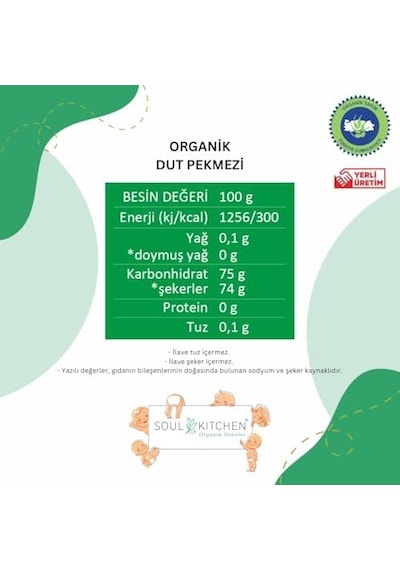 Organik Dut Pekmezi 380gr Soğuk Sıkım Şeker İlavesiz