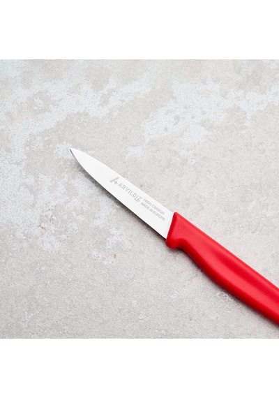 Aryıldız Solo Sebze Bıçağı Kırmızı 10 Cm Renkli